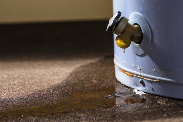 Best Local water damage restoration  in Island Lake, IL