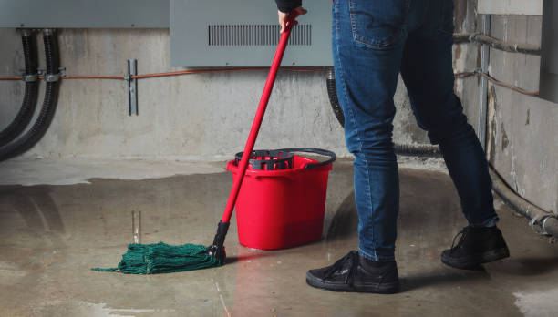 Best Professional water damage repair  in Island Lake, IL